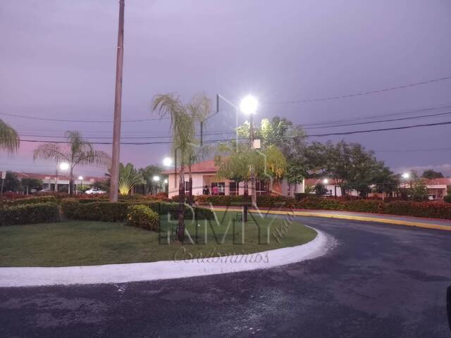 ambiente é aconchegante e bem climatizado - Picture of Papa Pizza, Cuiaba -  Tripadvisor