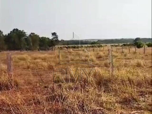 #ROGERIO JO - Fazenda para Venda em Paranatinga - MT