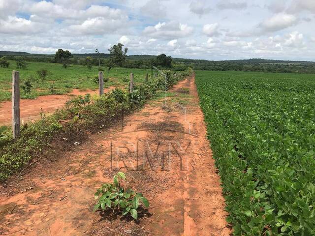 #6ROGERIO J - Fazenda para Venda em Canarana - MT