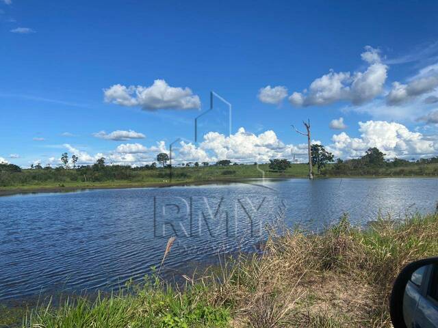 #4ROGERIOJ - Fazenda para Venda em Alta Floresta - MT