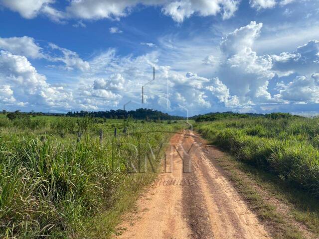 #4ROGERIOJ - Fazenda para Venda em Alta Floresta - MT