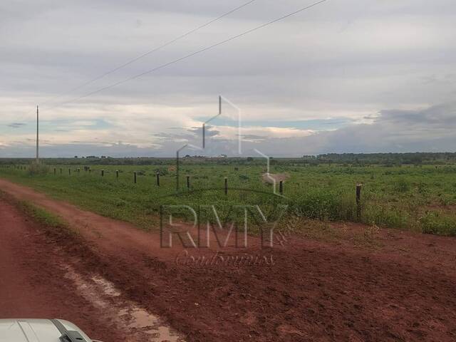 #5ROGERIOJ - Fazenda para Venda em Nova Lacerda - MT