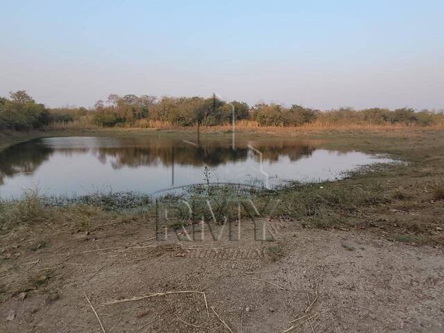 #3602RMJ - Fazenda para Venda em Cuiabá - MT