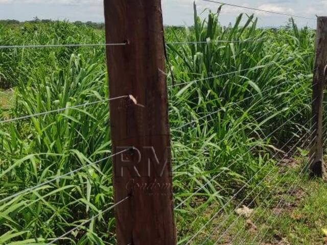 Venda em Zona Rural - Cuiabá