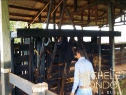 #MTONDOF61 - Fazenda para Venda em Rosário Oeste - MT