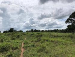 #MTONDOF64 - Fazenda para Venda em Chapada dos Guimarães - MT