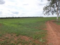 #48LAYNIARA - Fazenda para Venda em Rondonópolis - MT - 3