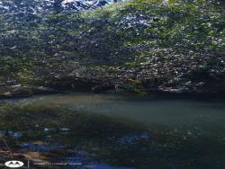 #OBERG039VF - Fazenda para Venda em Chapada dos Guimarães - MT