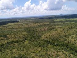 Venda em Zona Rural - Nossa Senhora do Livramento