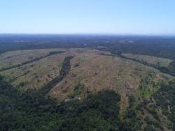 #MICHELE TO - Fazenda para Venda em Jangada - MT