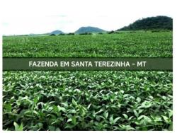 Venda em Bosque da Saúde - Santa Terezinha