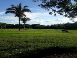 #LoDenis - Fazenda para Venda em Cuiabá - MT - 2