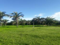 #LoDenis - Fazenda para Venda em Cuiabá - MT - 3