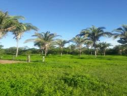 #LoDenis - Fazenda para Venda em Cuiabá - MT - 1