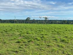 #Alle0001 - Fazenda para Venda em Cáceres - MT