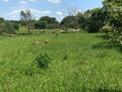 #Alle20 - Chácara para Venda em Cáceres - MT