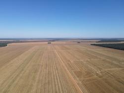 #Ale01 - Fazenda para Venda em Vera - MT