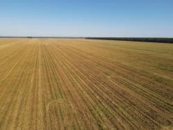 #Ale01 - Fazenda para Venda em Vera - MT