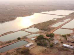 #OBERG058V - Fazenda para Venda em Várzea Grande - MT