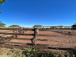 #107Walter - Fazenda para Venda em Rosário Oeste - MT - 2