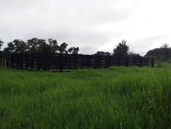 #Cleide - Fazenda para Venda em Cuiabá - MT - 3