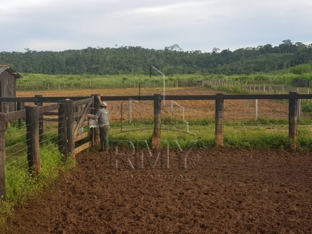 Fazenda à venda com 2 quartos, 1014m² - Foto 10