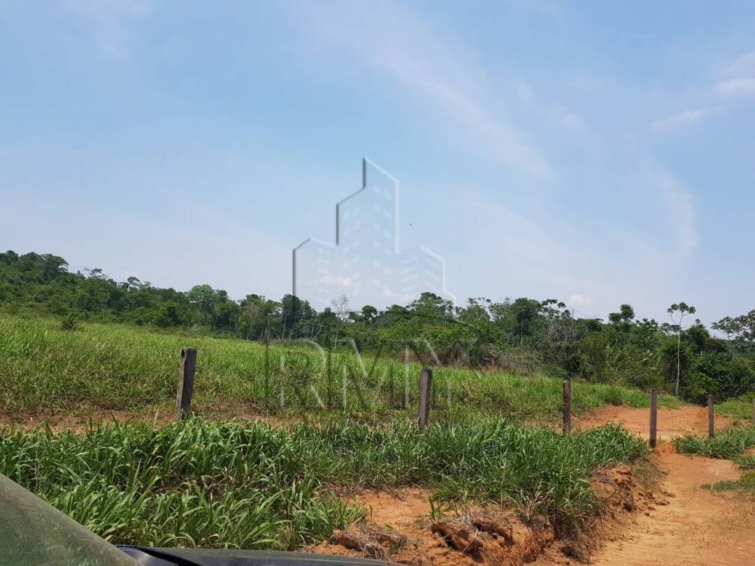 Fazenda à venda com 2 quartos, 1014m² - Foto 6