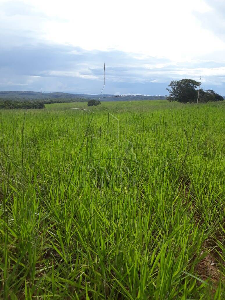 Fazenda à venda, 420m² - Foto 5