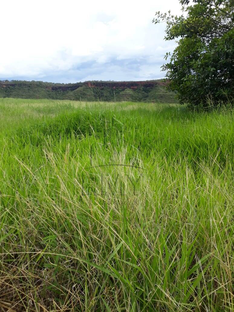 Fazenda à venda, 420m² - Foto 6