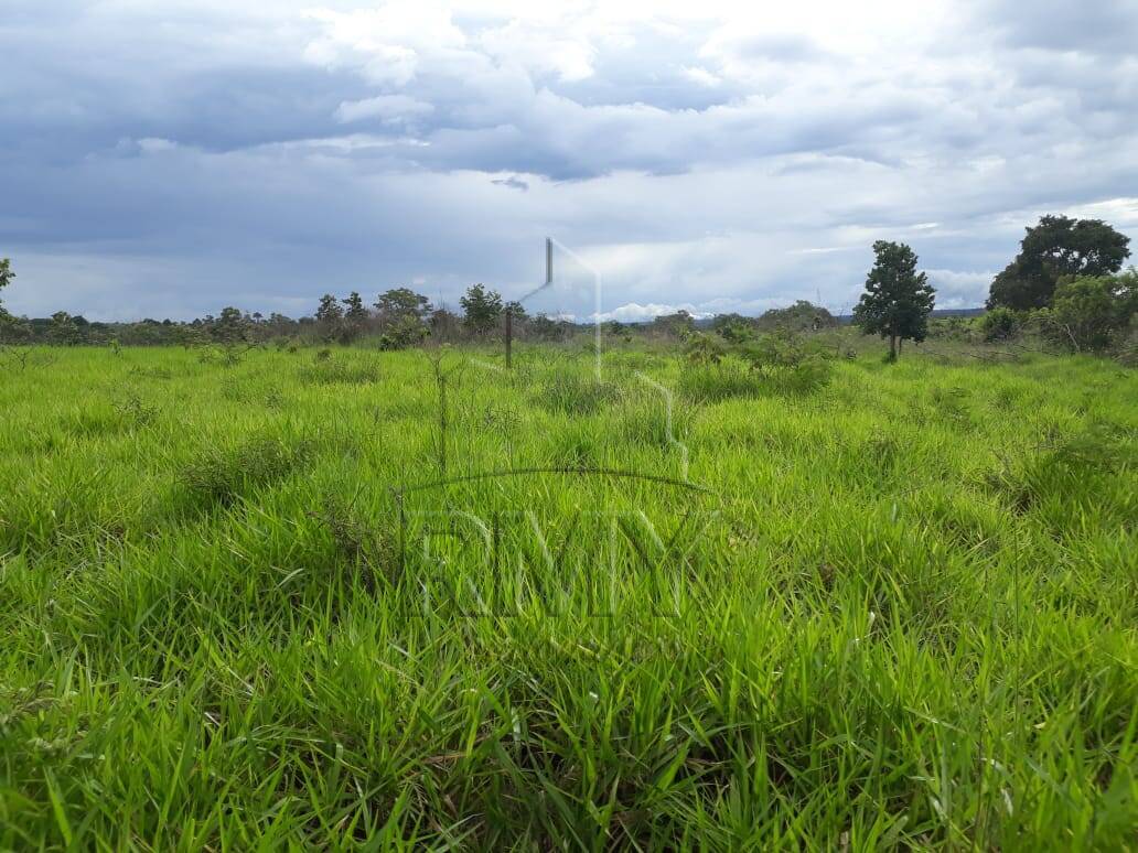 Fazenda à venda, 420m² - Foto 9