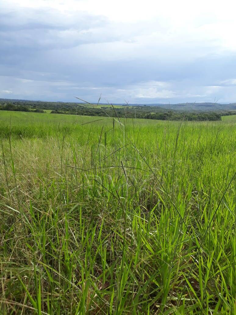 Fazenda à venda, 420m² - Foto 10