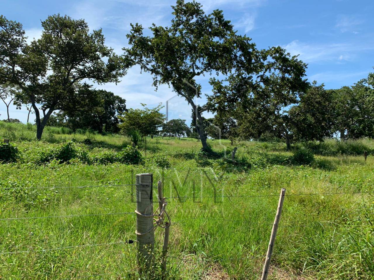 Fazenda à venda com 4 quartos, 48m² - Foto 10