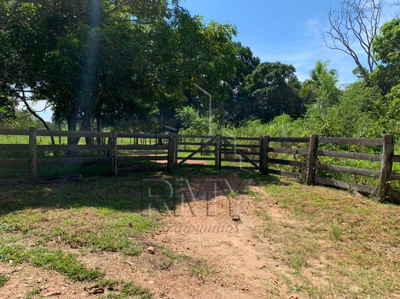 Fazenda à venda com 4 quartos, 48m² - Foto 11