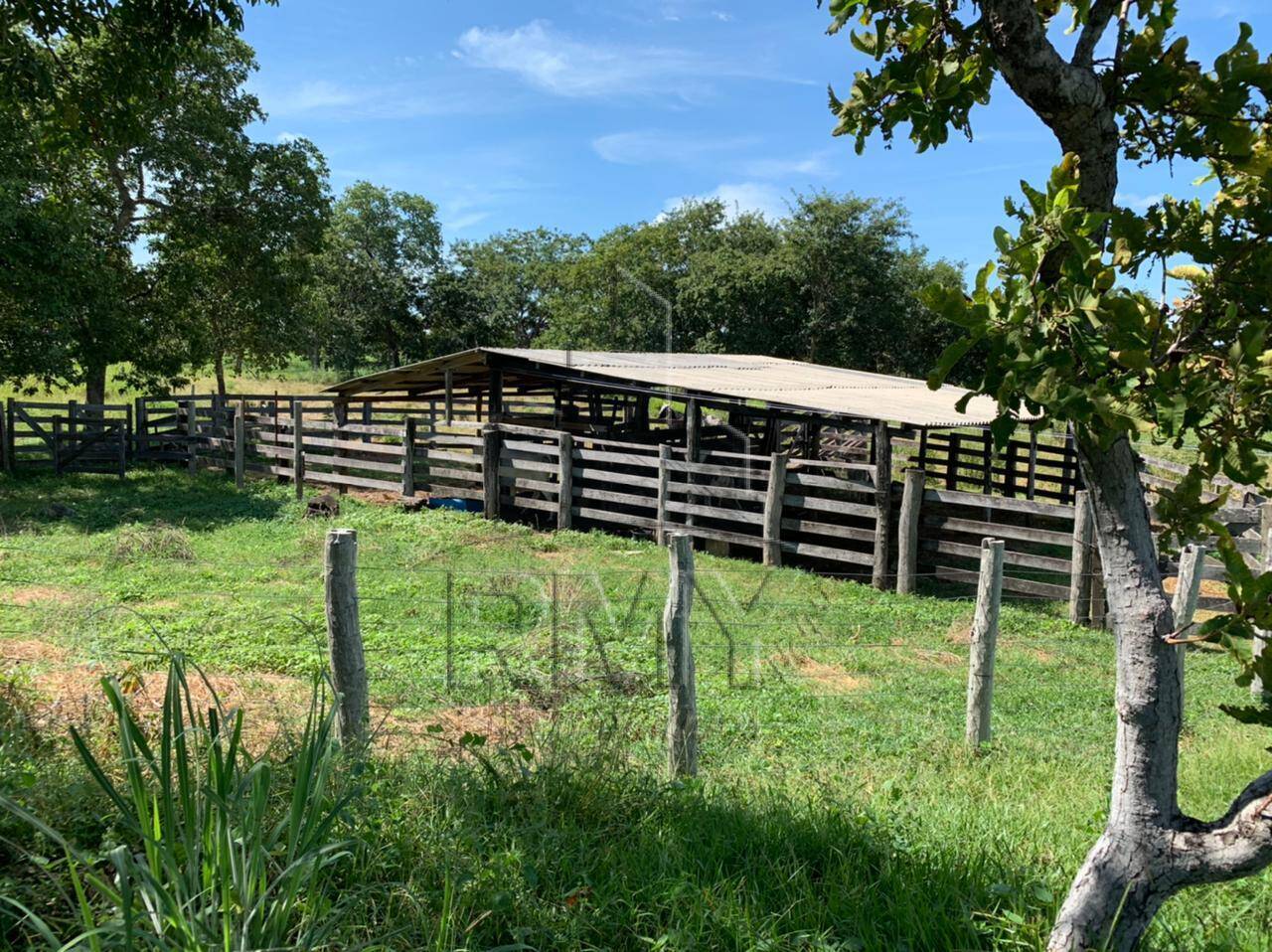 Fazenda à venda com 4 quartos, 48m² - Foto 8