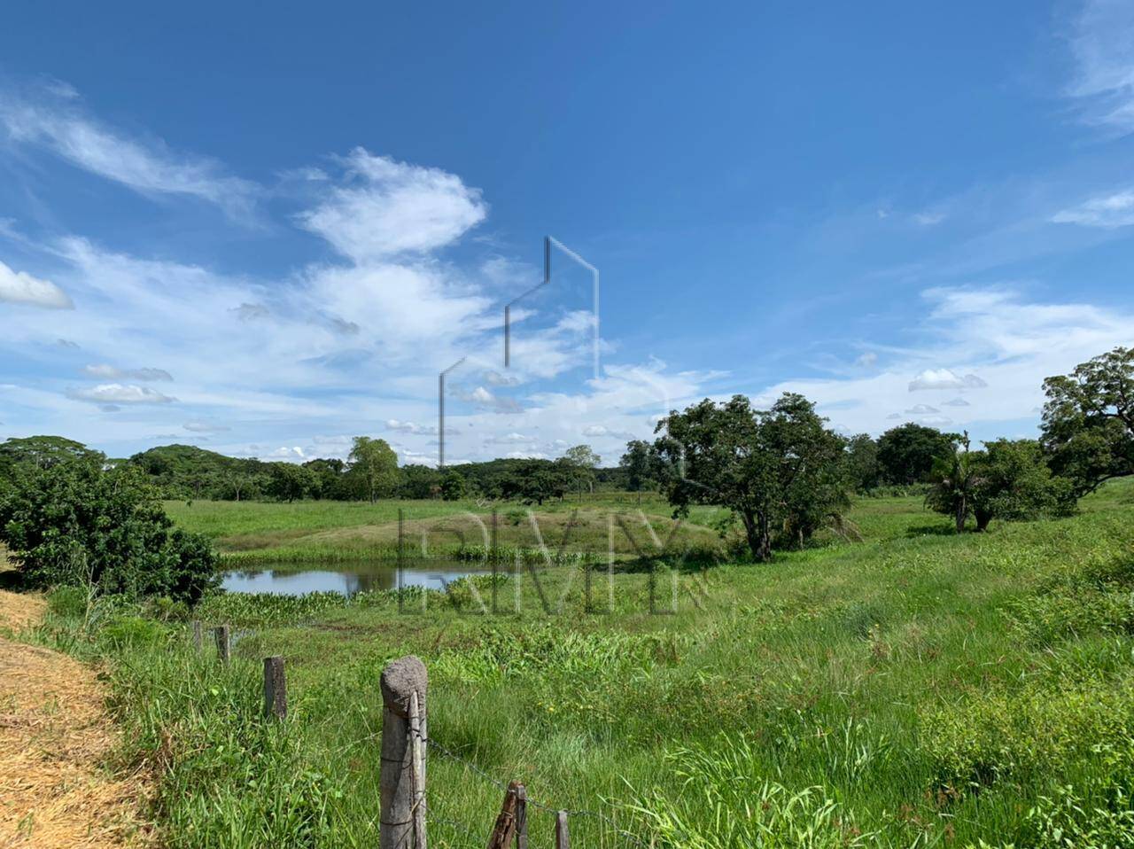 Fazenda à venda com 4 quartos, 48m² - Foto 13