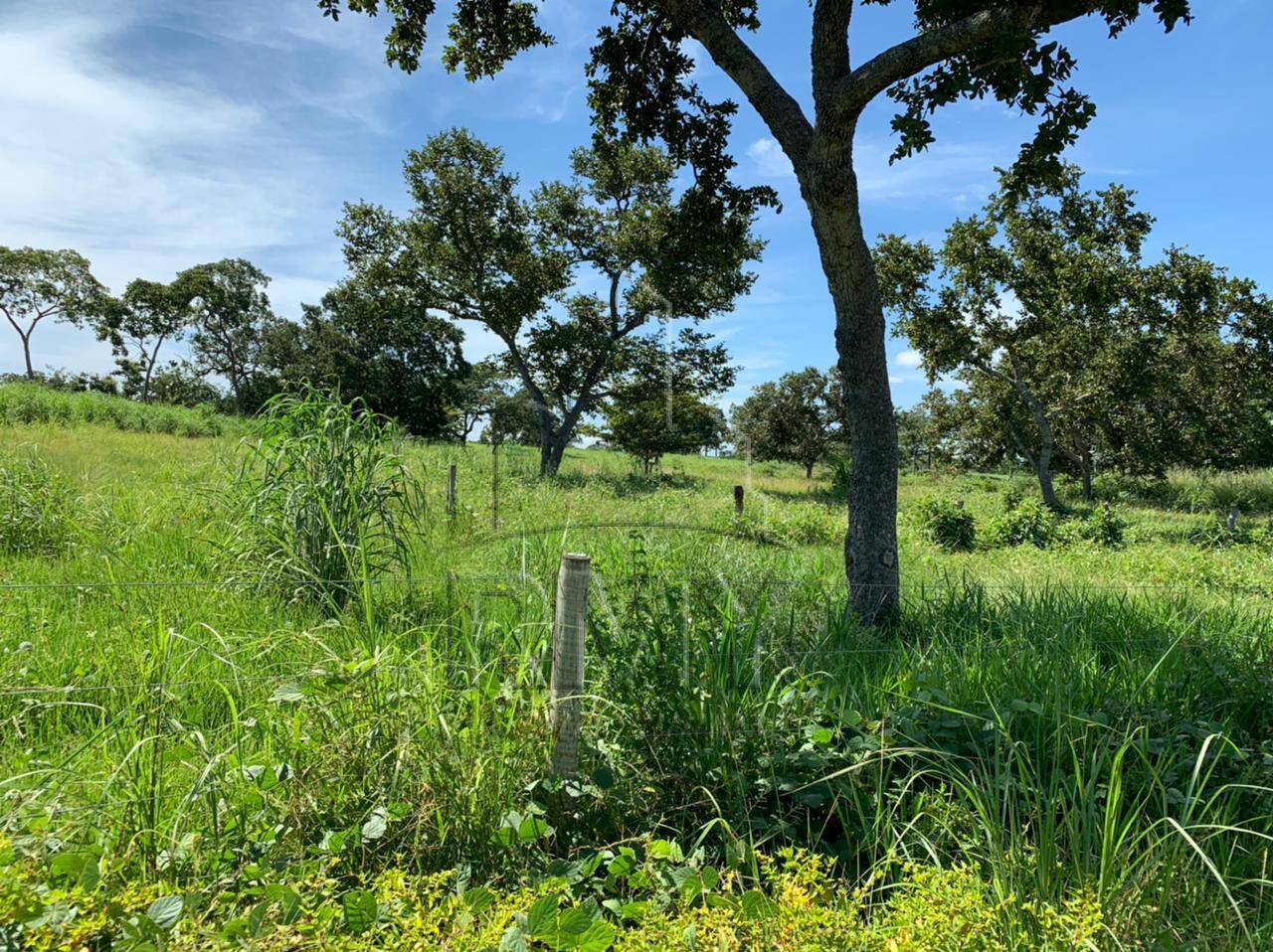 Fazenda à venda com 4 quartos, 48m² - Foto 1