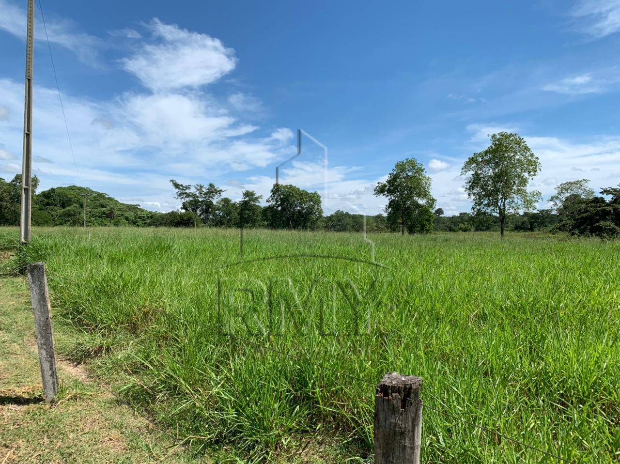 Fazenda à venda com 4 quartos, 48m² - Foto 3