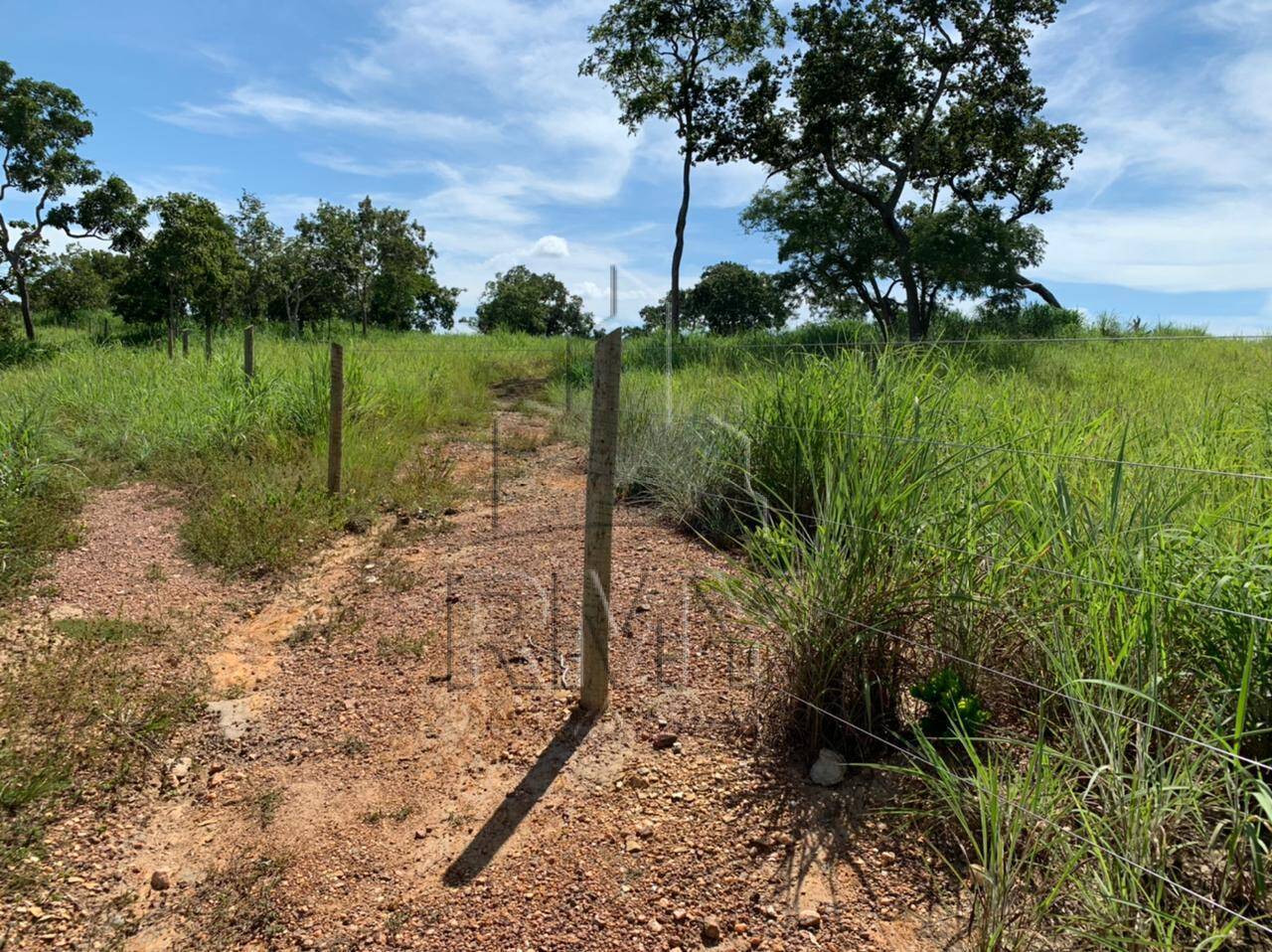 Fazenda à venda com 4 quartos, 48m² - Foto 4