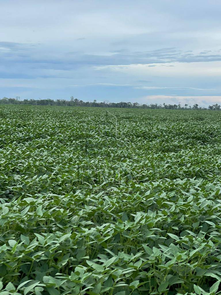 Fazenda à venda, 2850m² - Foto 1