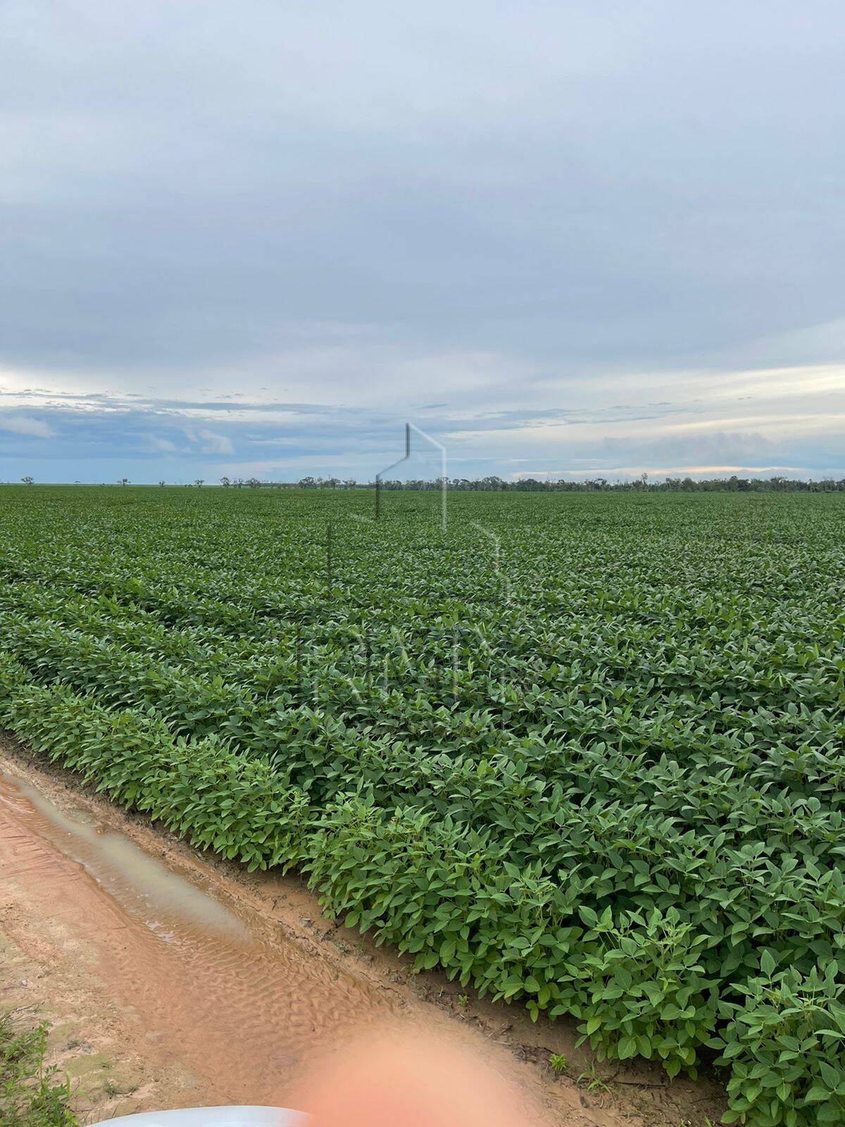 Fazenda à venda, 2850m² - Foto 6