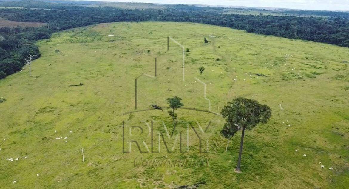 Fazenda à venda, 1790m² - Foto 1