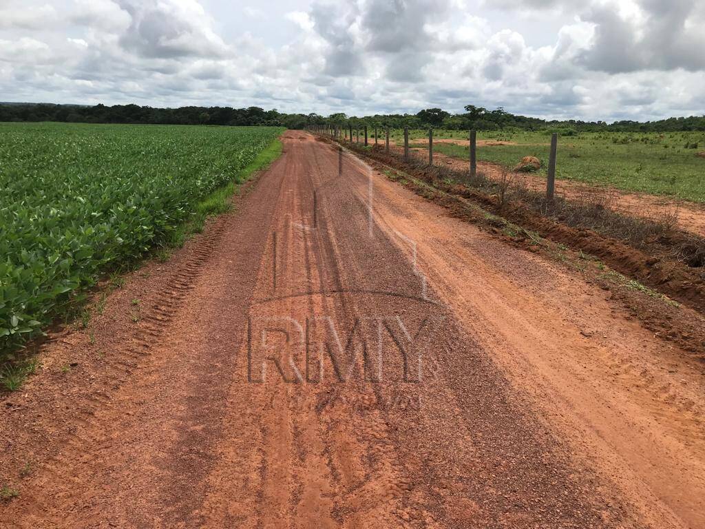 Fazenda à venda, 1030m² - Foto 4