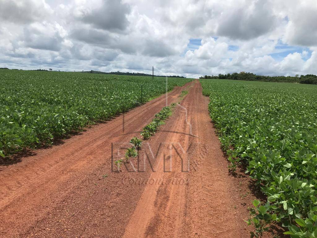 Fazenda à venda, 1030m² - Foto 2